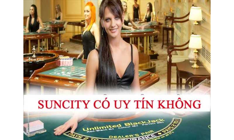 Nhà cái cá cược hàng đầu suncity88